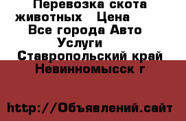 Перевозка скота животных › Цена ­ 39 - Все города Авто » Услуги   . Ставропольский край,Невинномысск г.